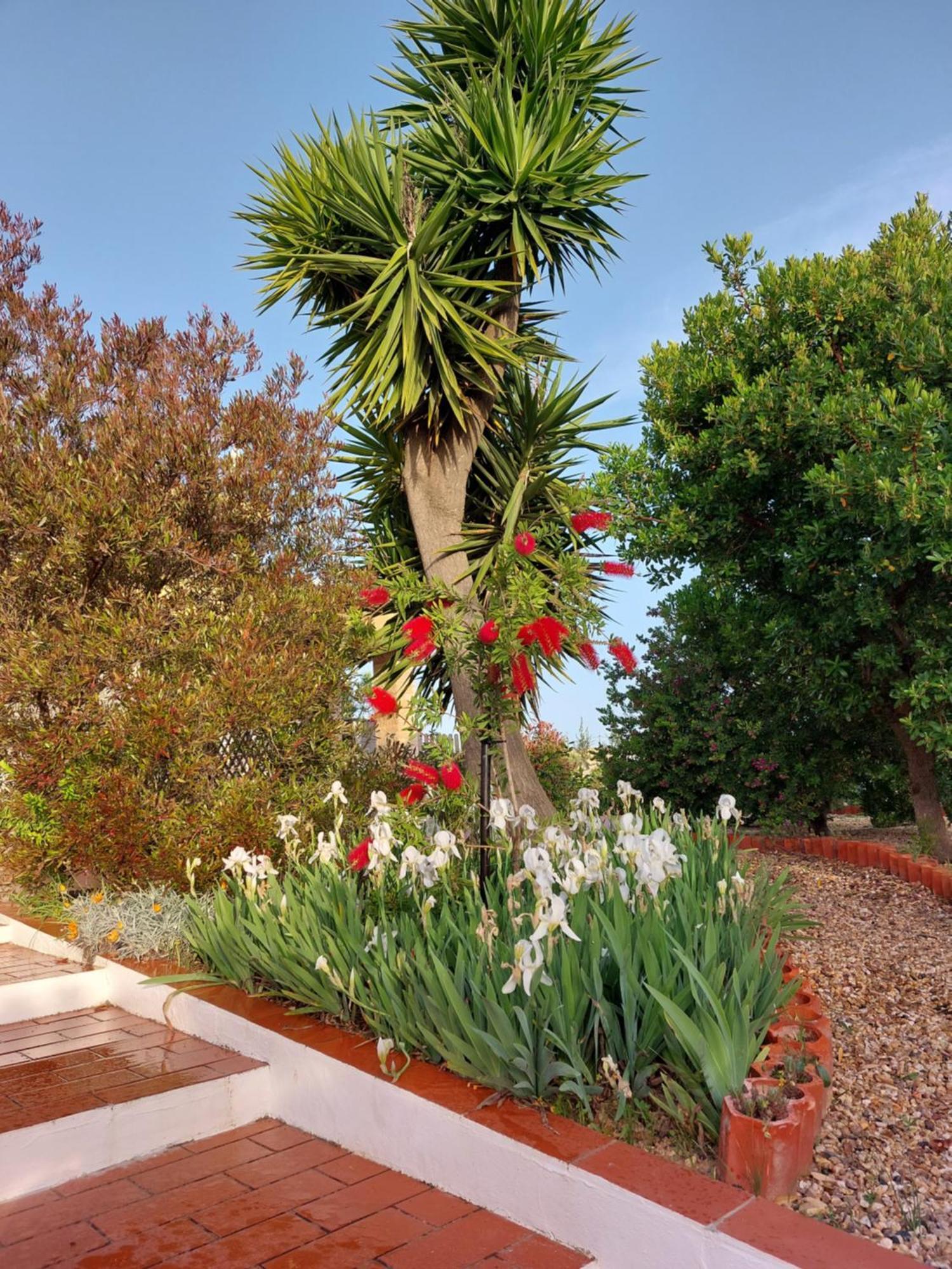 Tavira Vacations Apartments Exterior foto